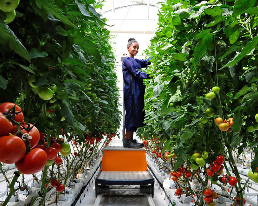 farming automation services