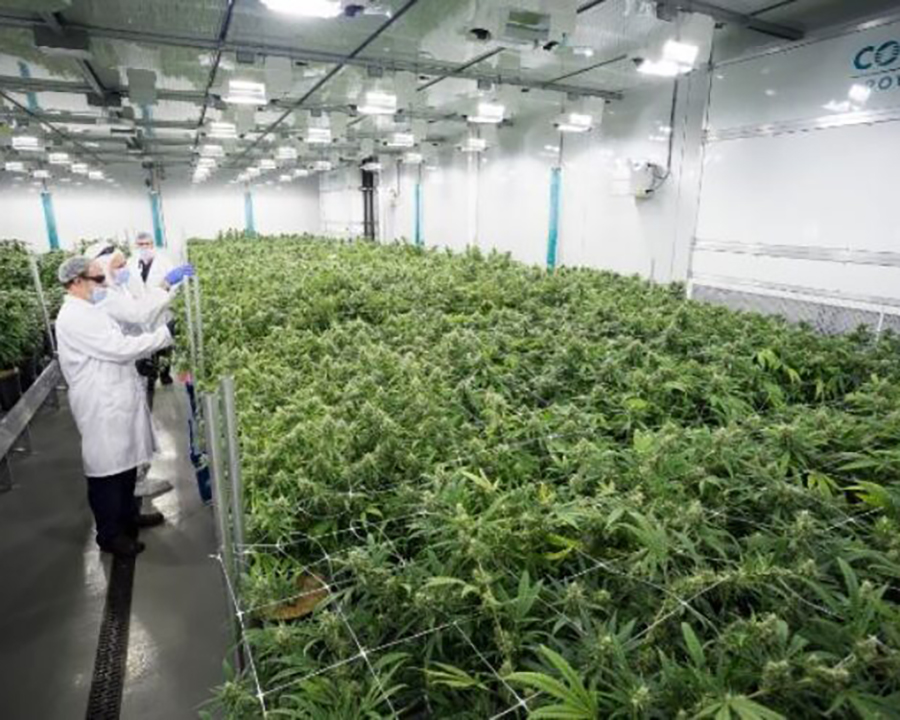 advanced growing congtrol systems