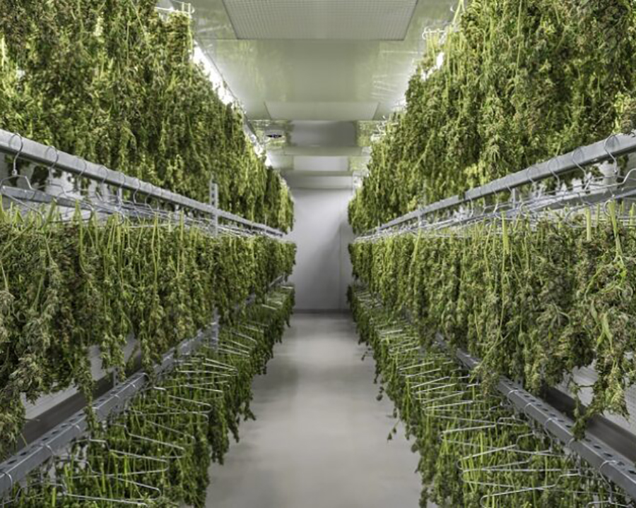 grower orientated systems