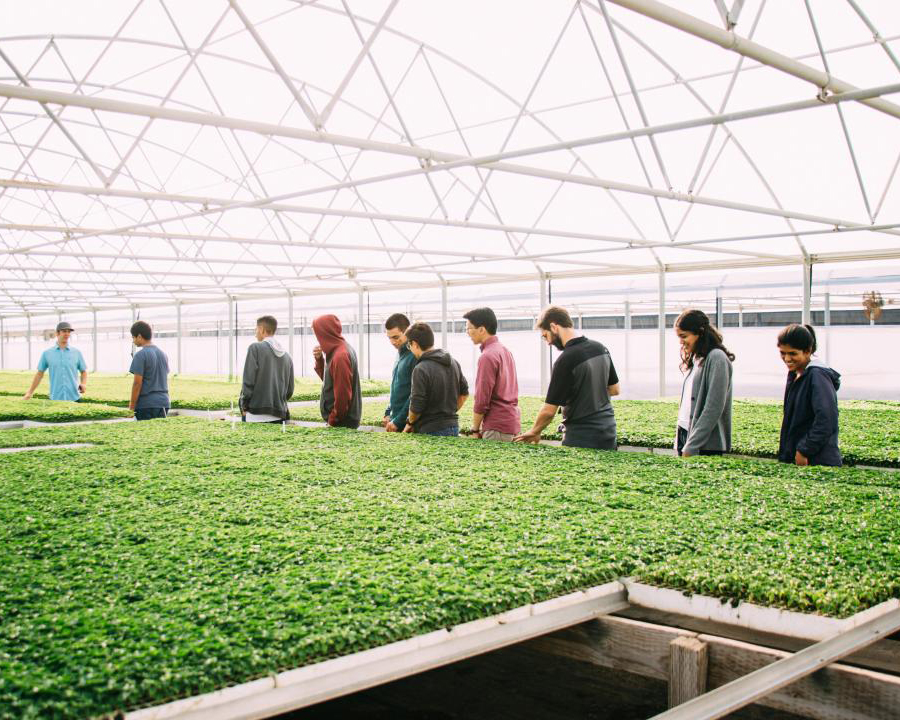 horticultural research applications