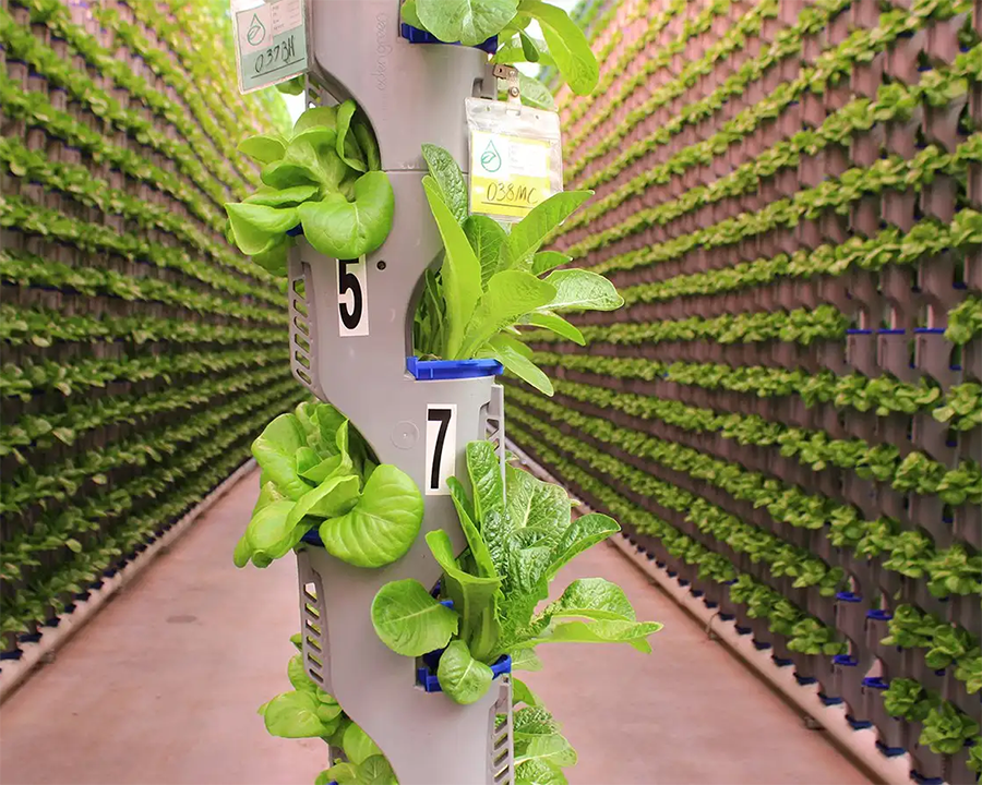 vertical farming techniques